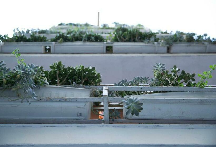 اتاق استاندارد با سرویس بهداشتی مشترک, Residencia Alclausell