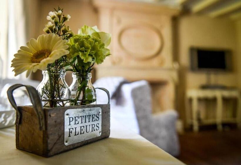 غرفة قياسية مطلّة علي الحديقة, Château De La Grand'cour