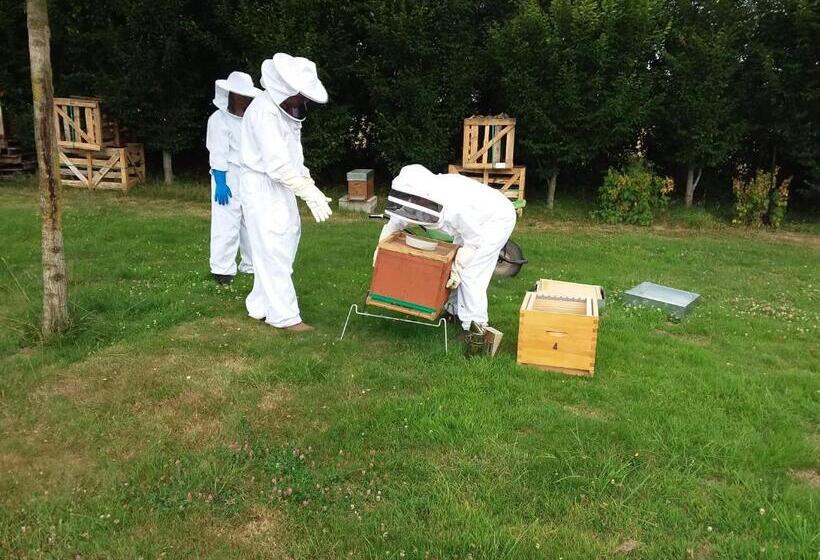 غرفة قياسية, La Charmeraie