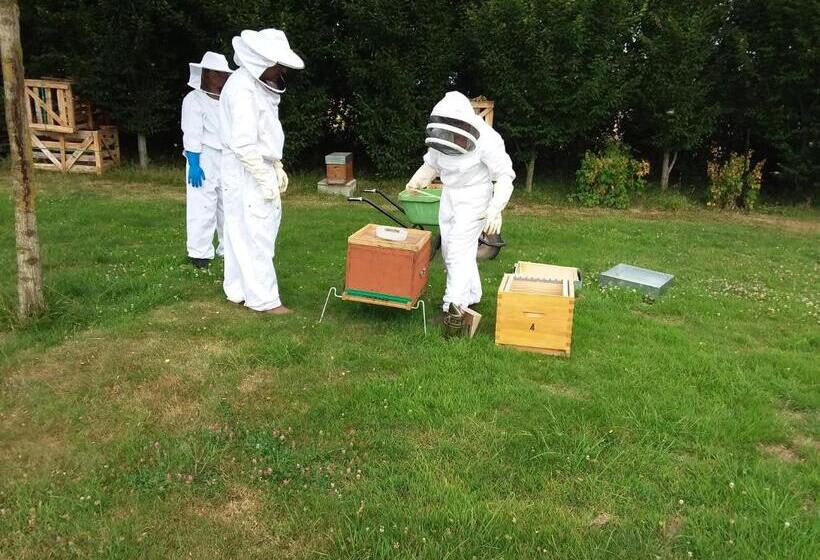 غرفة قياسية, La Charmeraie