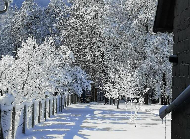バルコニー付き１ベッドルームアパートメント, Plitvice Mountain Spring