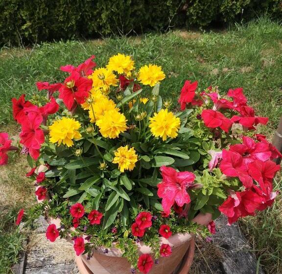 バルコニー付き１ベッドルームアパートメント, Plitvice Mountain Spring