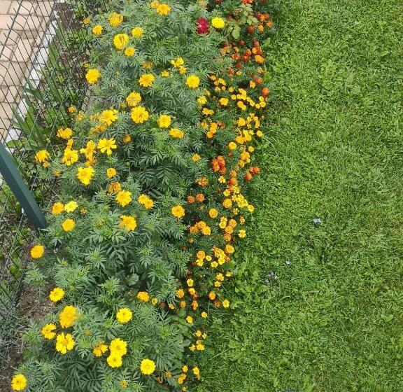 バルコニー付き１ベッドルームアパートメント, Plitvice Mountain Spring