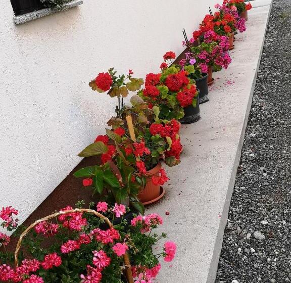 バルコニー付き１ベッドルームアパートメント, Plitvice Mountain Spring