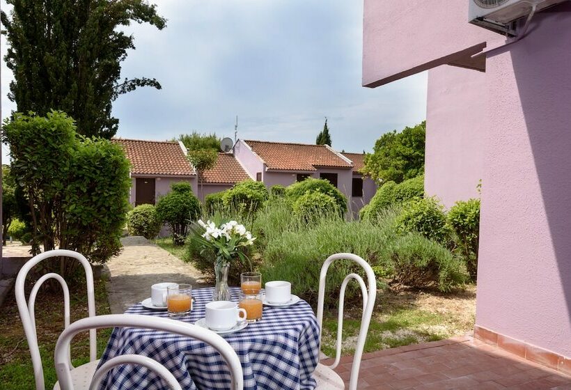 דירה קלאסית חדר שינה אחד, Apartments Medena Budget