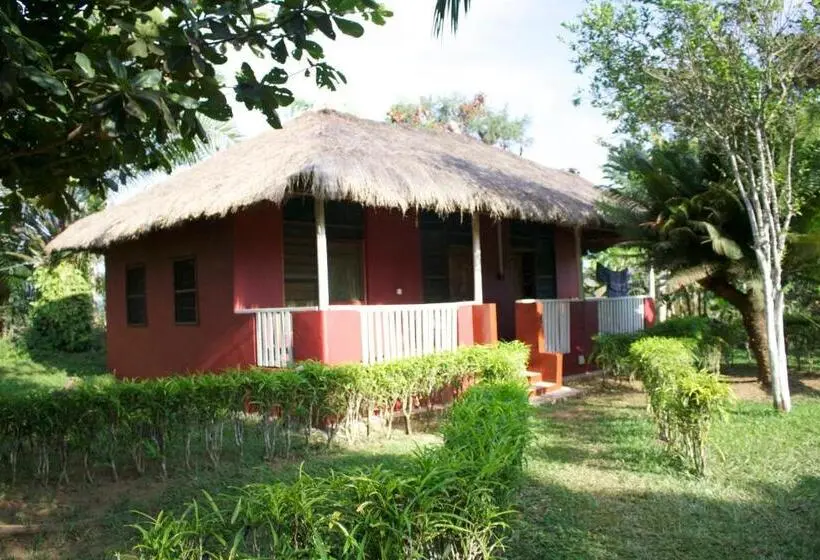 エコノミールーム, Ankobra Beach Resort