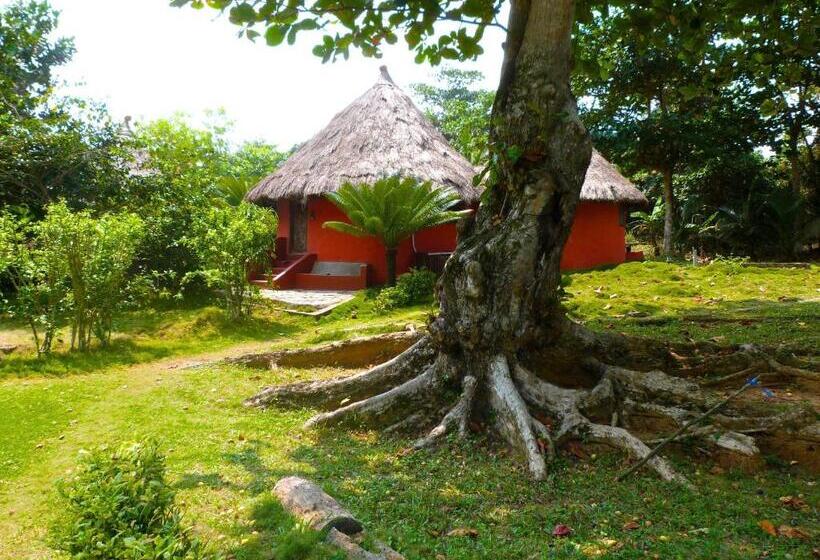 带大床的标准间, Ankobra Beach Resort