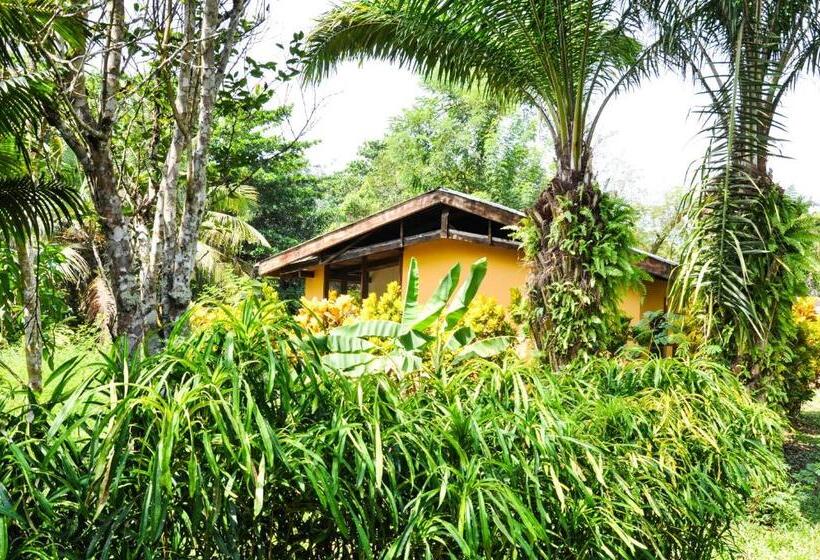 منزل غرفة نوم واحدة, Ankobra Beach Resort