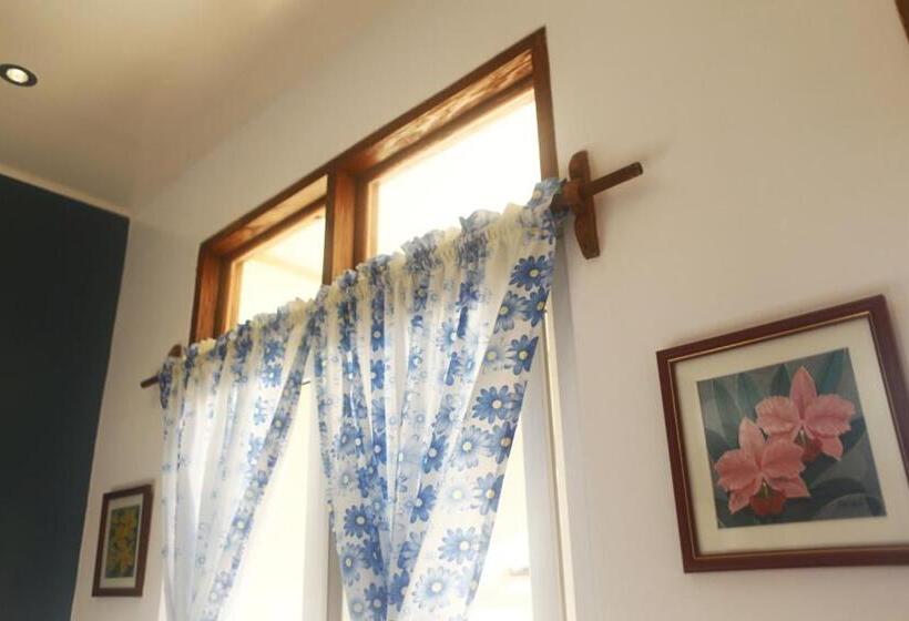 싱글 디럭스 룸, Vitton Resort