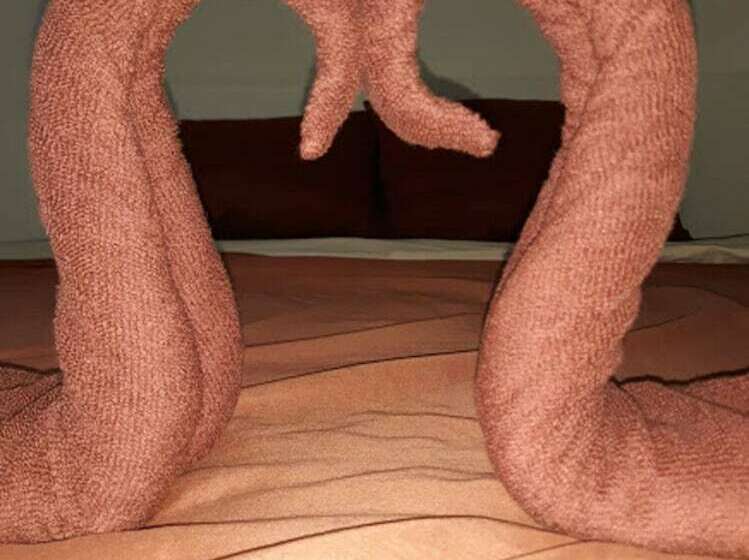 스탠다드 룸 풀장 전망, Carpe Diem Guest House