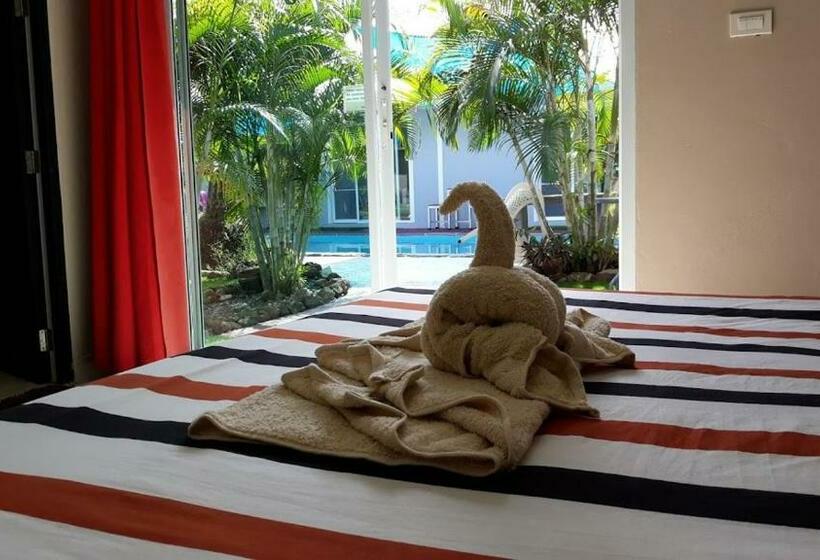 스탠다드 룸 가든 전망, Carpe Diem Guest House