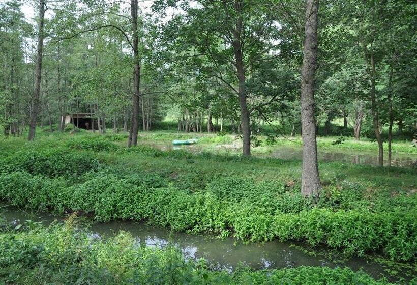 Standard Stúdió Szoba, Kyprův Mlýn