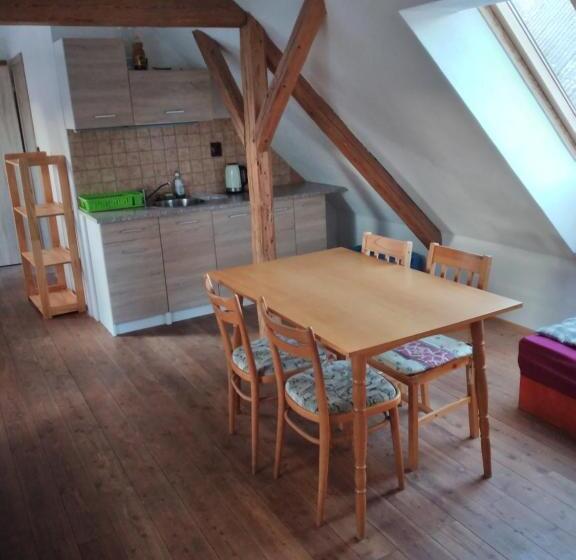 Standard Stúdiószoba Franciaággyal King Size, Kyprův Mlýn