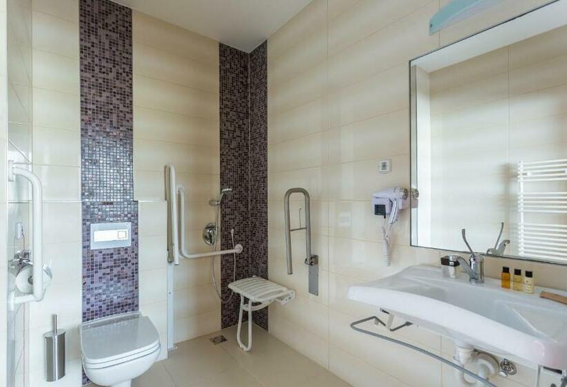 חדר סטנדרט מותאם לאדם עם מוגבלויות, Outlet Hotel Polgár