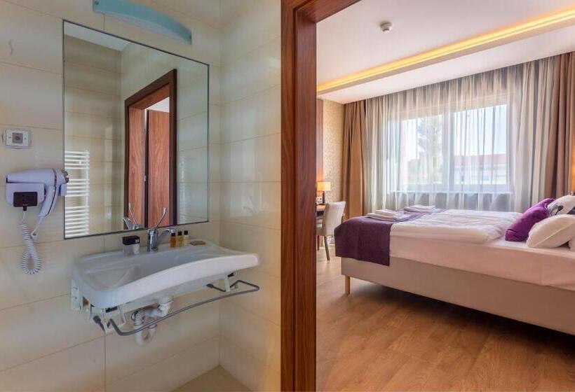 חדר סטנדרט מותאם לאדם עם מוגבלויות, Outlet Hotel Polgár