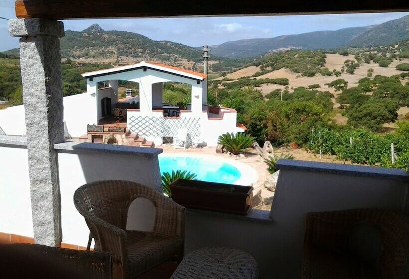 Апартаменты Basic 1 Спальня, Agriturismo B&b Domo De Resteblas