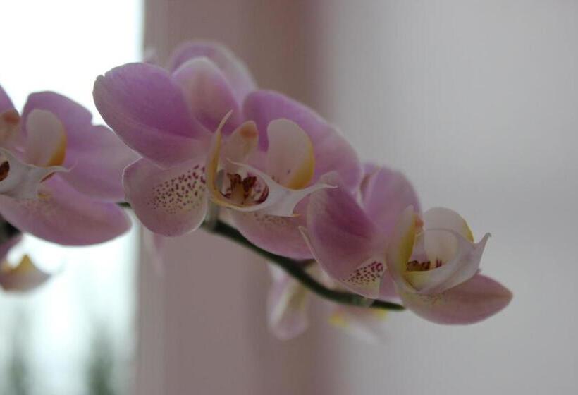 Номер Deluxe Кровать Кинг, Domaine Pont Juillet