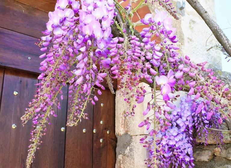 Family Suite, Domaine Pont Juillet
