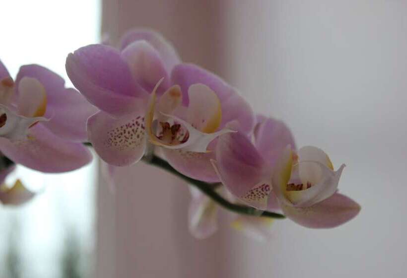 Номер Deluxe, Domaine Pont Juillet