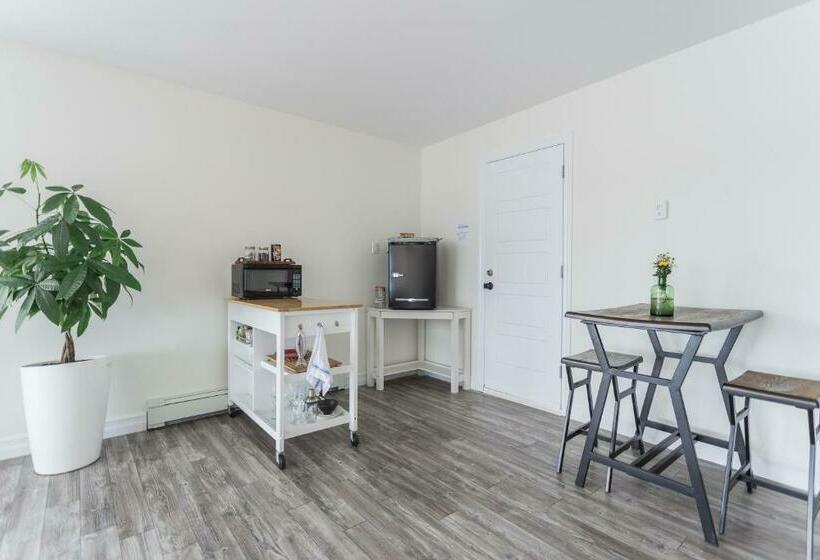 标准工作室, Whale House Guest House