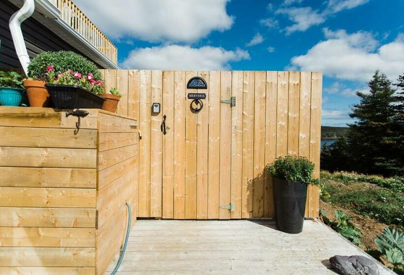 标准工作室, Whale House Guest House