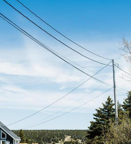 标准工作室, Whale House Guest House