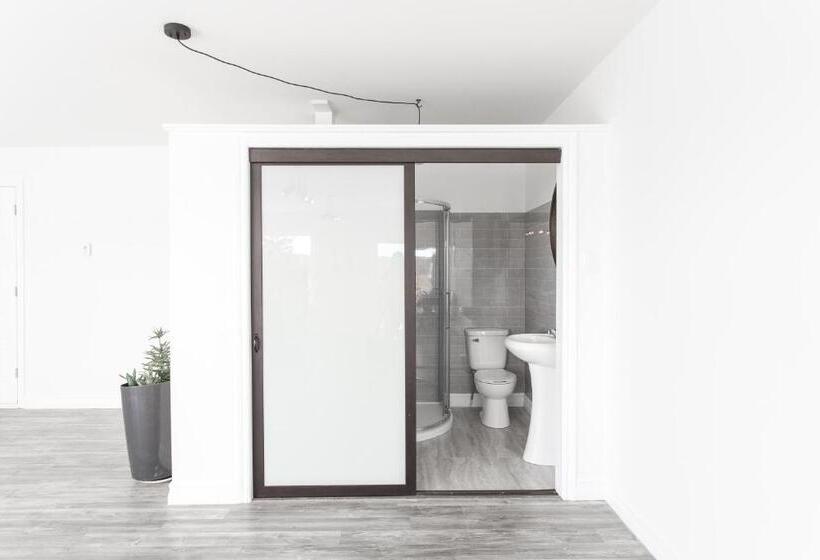 标准工作室, Whale House Guest House