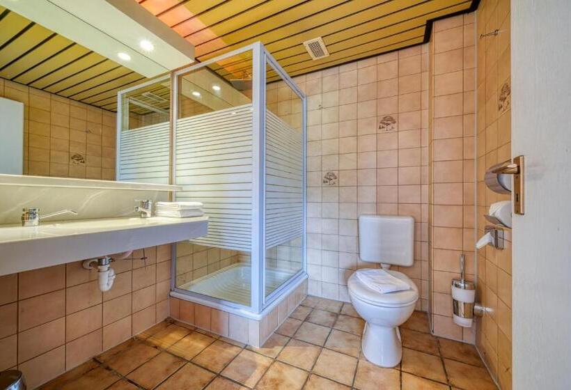 Трехместный Номер Комфорт, Seeblick Försterhaus