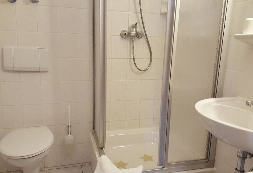 スタンダードシングルルーム, Jagerheim Lobsal