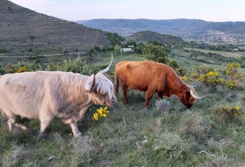 デラックスルーム, Gîtes La Musardière