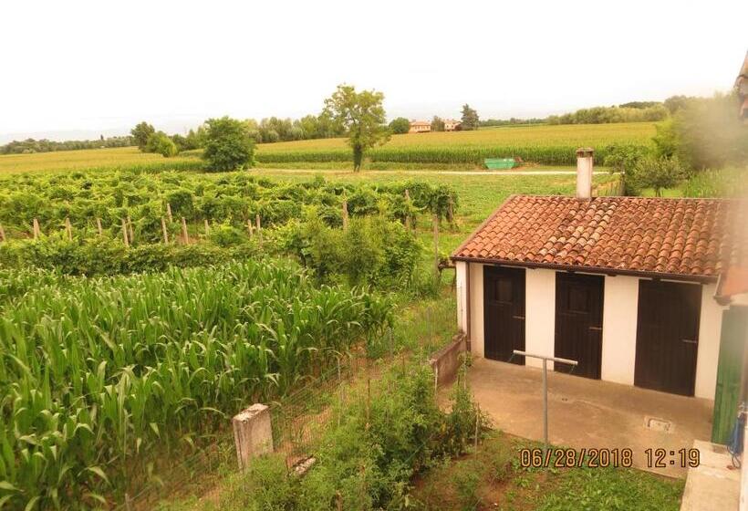 バス共有のスタンダードルーム, 5 Palme