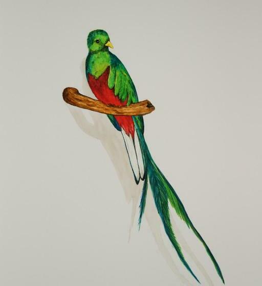 수피리어 패밀리 룸, Asinerie Kuleni