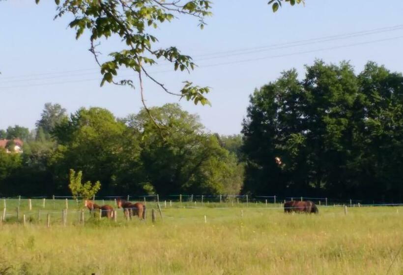 패밀리 룸, Hôtel Gîte De Pressins