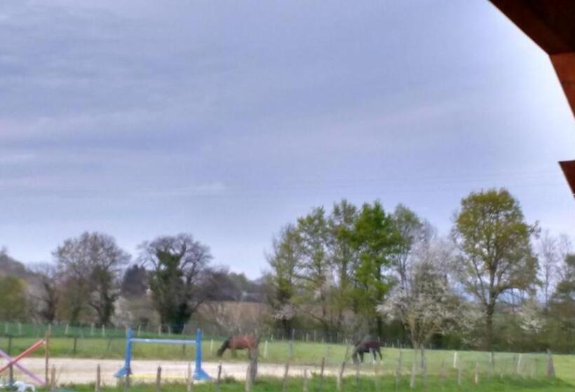 스탠다드 룸, Hôtel Gîte De Pressins