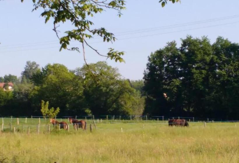 스탠다드 룸, Hôtel Gîte De Pressins