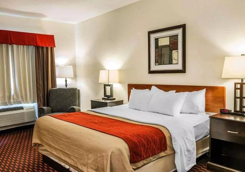 キングサイズベッドのスタンダードルーム, Comfort Inn Avonindianapolis West