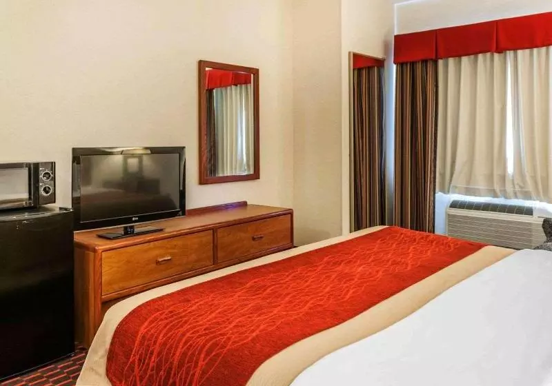 キングサイズベッドのスタンダードルーム, Comfort Inn Avonindianapolis West