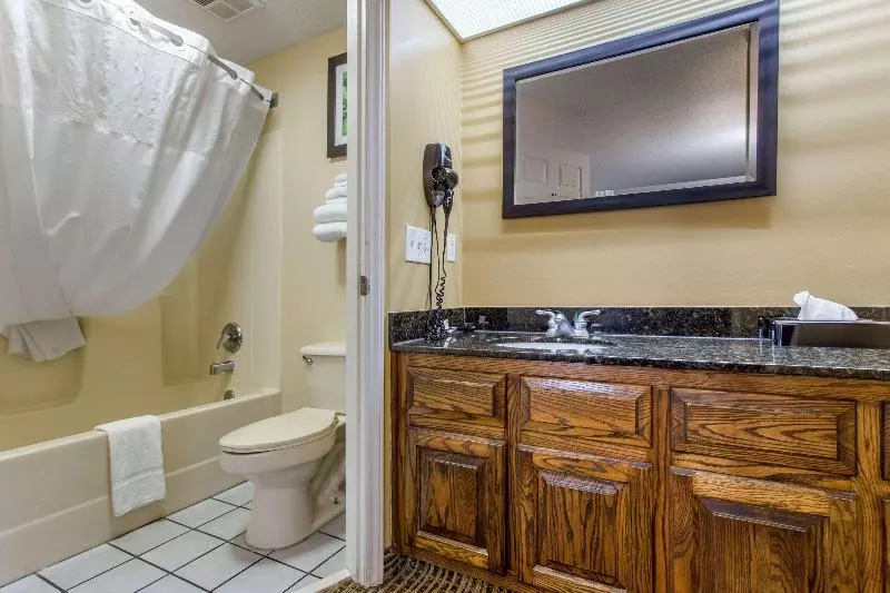 キングサイズベッドのスタンダードルーム, Quality Inn Laurinburg