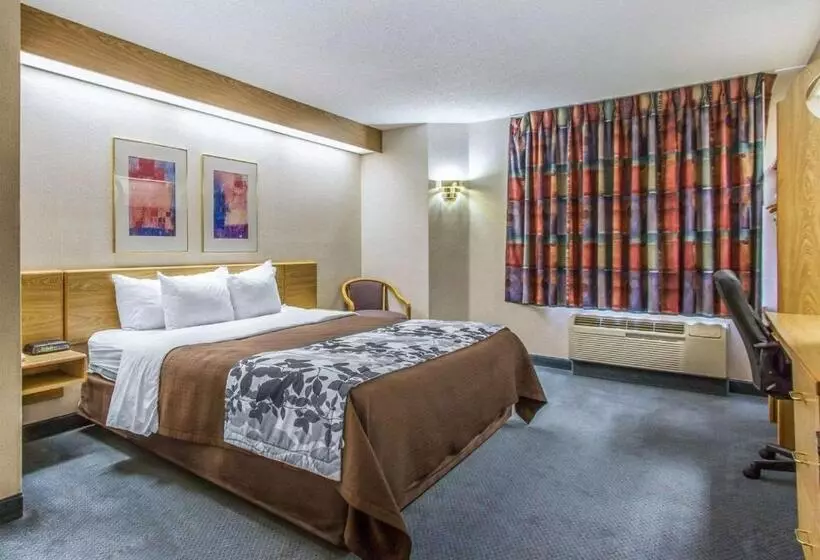 キングサイズベッドのスタンダードルーム, Rodeway Inn Fremont
