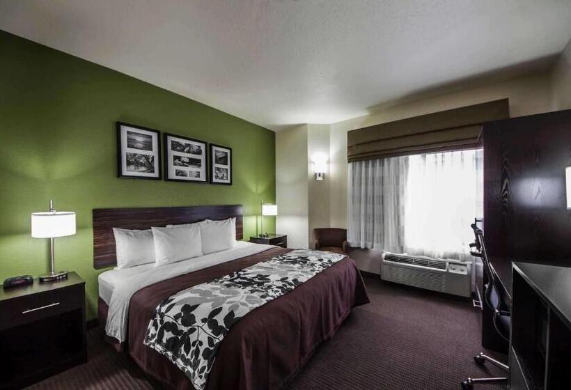 غرفة قياسية سرير كينج, Sleep Inn & Suites Tulsa Central I 44