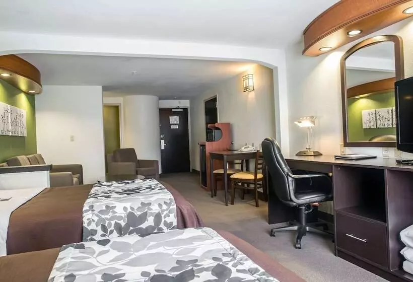 スイート, Sleep Inn & Suites Emmitsburg
