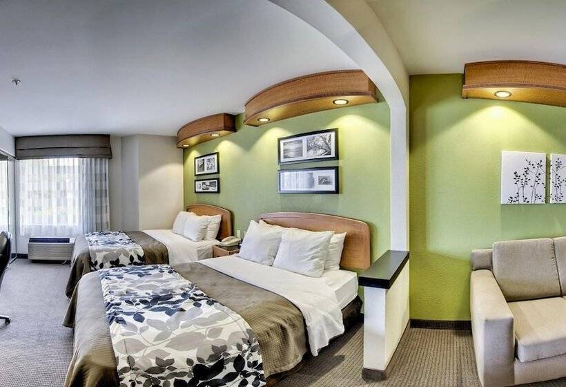 스위트, Sleep Inn & Suites Emmitsburg