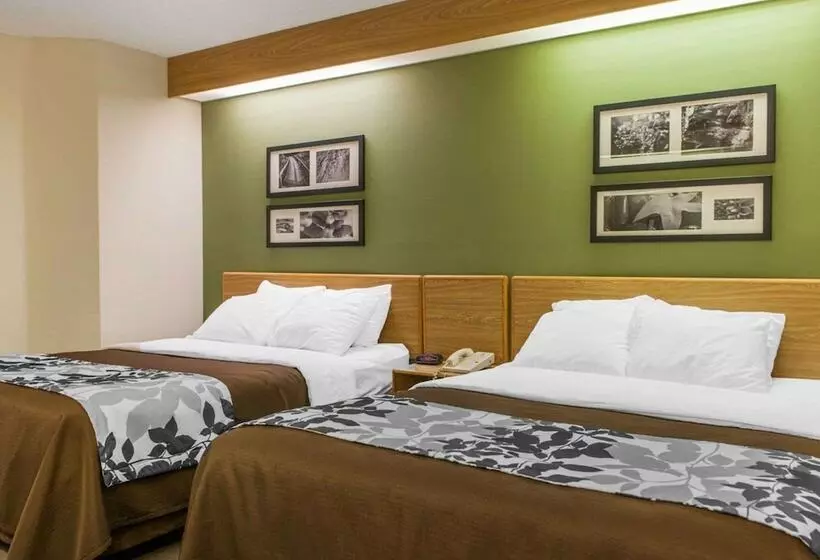 ２ダブルベッドのスタンダードルーム, Sleep Inn
