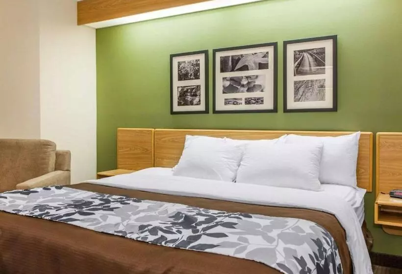 キングサイズベッドのスイートルーム, Sleep Inn