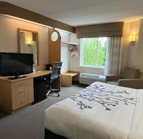 غرفة قياسية سرير كينج, Sleep Inn Lynchburg   University Area & Hwy 460