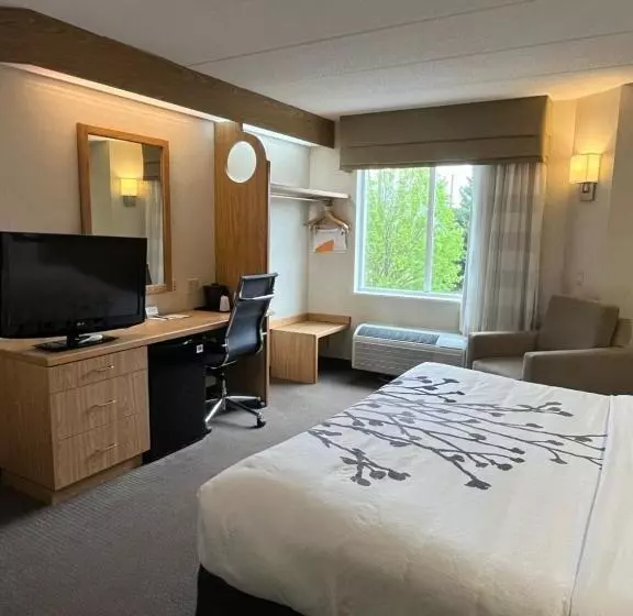 اتاق استاندارد با تخت بزرگ, Sleep Inn Lynchburg University Area & Hwy 460