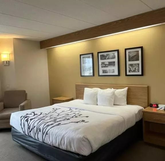 اتاق استاندارد با تخت بزرگ, Sleep Inn Lynchburg University Area & Hwy 460