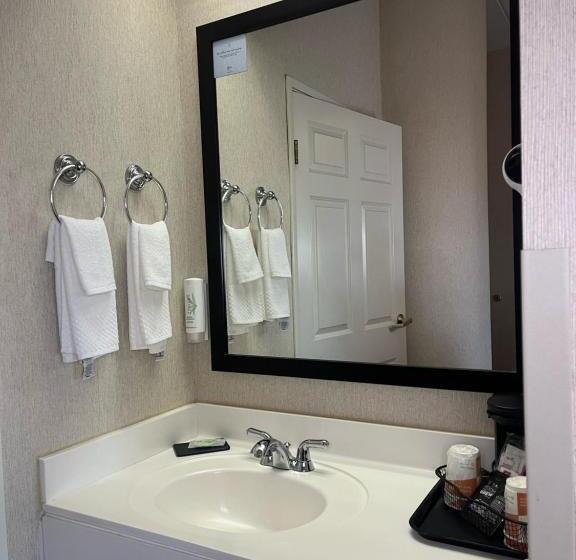 غرفة قياسية سرير كينج, Sleep Inn Lynchburg   University Area & Hwy 460