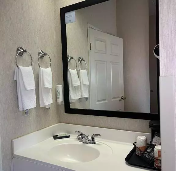 اتاق استاندارد با تخت بزرگ, Sleep Inn Lynchburg University Area & Hwy 460