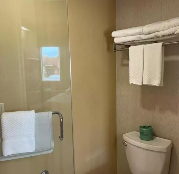 اتاق استاندارد, Sleep Inn Lynchburg University Area & Hwy 460